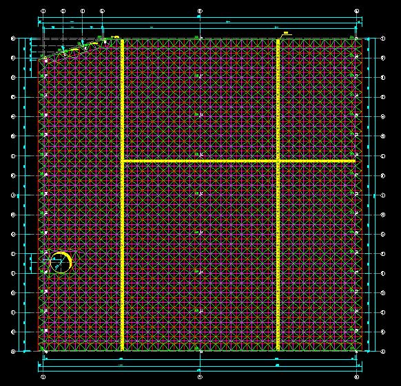 大同东营金岭化工大王煤棚网架